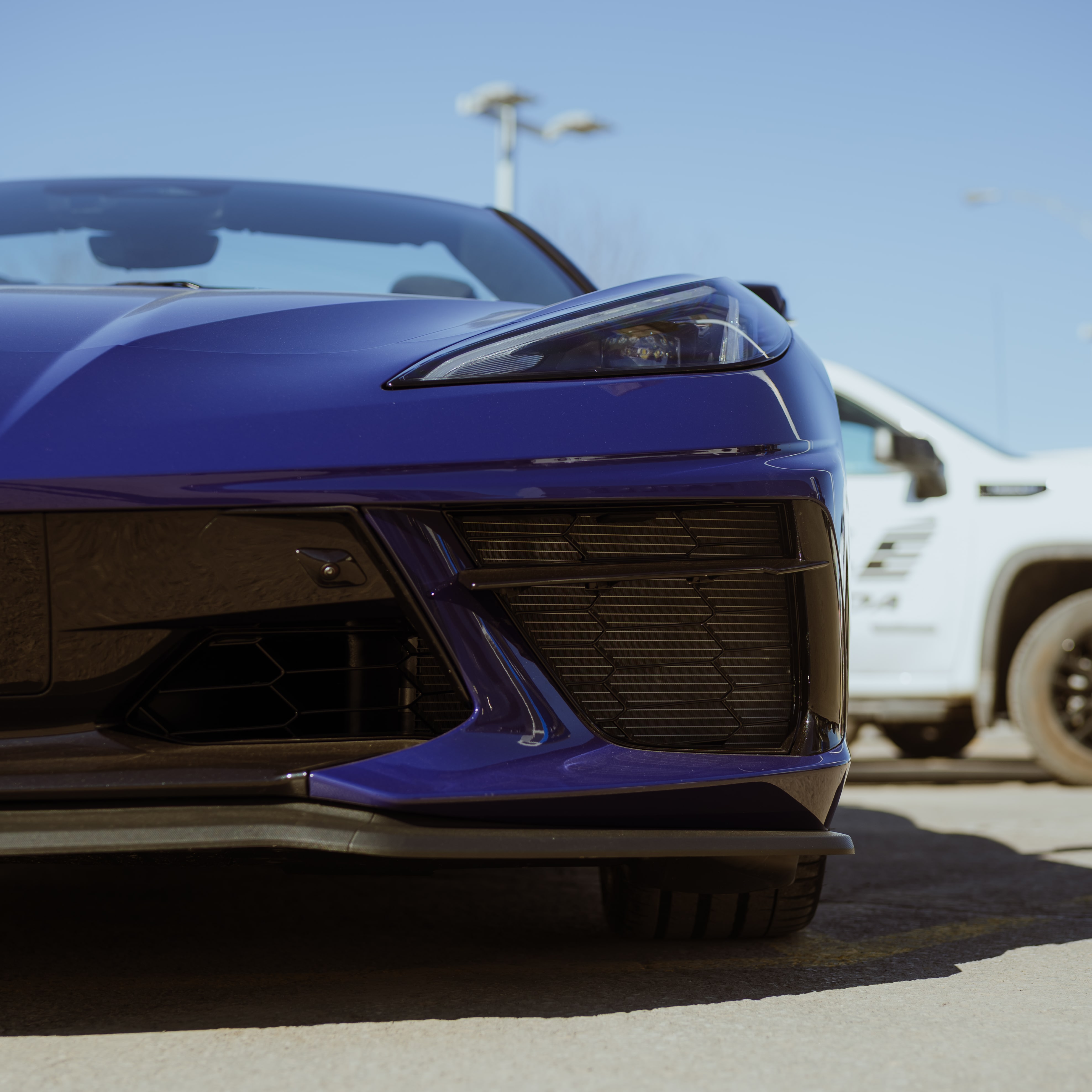 back blue corvette back